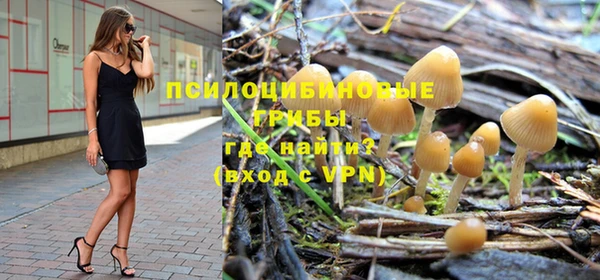 стаф Армянск