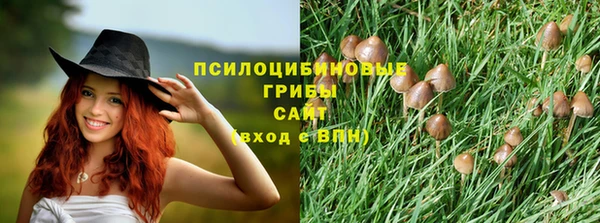 герыч Аркадак